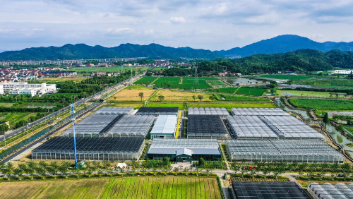 Xiejing’an Transfar Agricultural Innovation Village